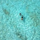 플랜메드 이미지