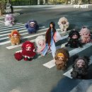 발보사 코리아 팀팍스 | 블로그 쓰지 않음 난 모르는 일