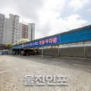 라우스 데오 이미지