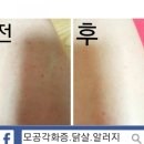 사해의 전설 이미지