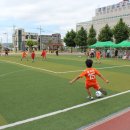 음성 축구 꿈나무들 기량 겨뤄 ! 이미지