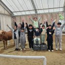 추곡초등학교 이미지