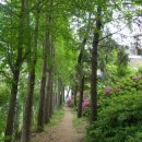 삼산잔디공원 이미지