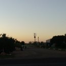 호주농장 이미지