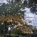 힐링나라 이미지