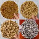 중앙-4 | 강원 속초 중앙시장 맛집 수제 4색 곡물강정 대만족 후기 ‘이부자 마약곳간’