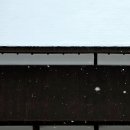 천천작은도서관 | 일본 일주 (7) : 교토 ~ 나고야