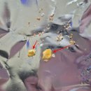 달달 - 사천시 | 달달