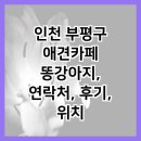 인천 부평구 애견카페 똥강아지, 연락처, 후기, 위치