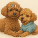볼래로 문화거리 | [이태원 클럽] Bolero, 비와이와 함께한 밤 솔직 후기