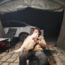 산디마을오토캠핑장 이미지