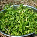 달래농장 이미지