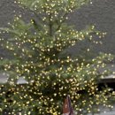 아미드 호텔 서울 이미지