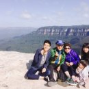 블루마운틴 이미지