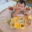 (주)폴레드 | 폴레드 유아 식판 추천 감성 이유식기 스텐 자기주도 이유식 스푼 플래티넘 실리콘