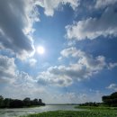 두마리찜닭 두찜 전북임실점 이미지