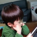 짱아PC 이미지