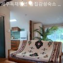 제주독채펜션돌집감성숙소돌담점 이미지