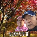 나드리 Daum카페