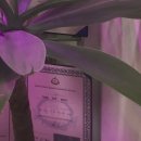 회룡한의원 이미지