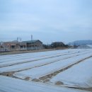 벌말2로 이미지