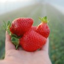 용범농장 이미지