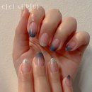 디디네일바