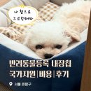 브라운동물병원 | 반려동물등록 방법 비용 후기 서울지원금 연신내 동물병원 내돈내산