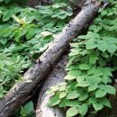 양기농장 이미지