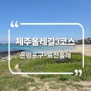 성산읍 신산포구 | 제주올레길3코스 [온평포구-표선해수욕장]