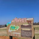 무산목장 | 서산가볼만한곳 한국의 알프스'서산하우목장길'웰빙산책로후기(소방목시기,주차)