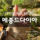 메종드다이아