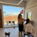 한결강아지미용실 이미지