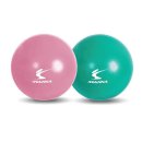 피트니스공 이미지