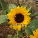 선린어린이집 이미지