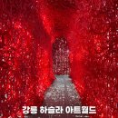 아트 | 강릉 하슬라아트월드 후기 실내전시 포토존 입장권 할인 정보