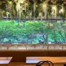 애슐리퀸즈 켄싱턴가평점 이미지