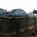 서귀포지방법원 이미지