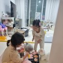집에서 고기굽기 레비오사 LE-101HIT 실사용 냄새 후기