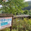 행복나무민박 이미지