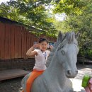 송죽초교 병설유치원 이미지