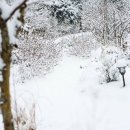 현대씽크 이미지