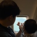 우리주유소 | [일본 구마모토여행#1]12개월 아기랑 일본여행,이스타항공,구마모토공항 아기이유식세관통과 후기