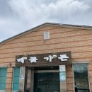 배꽃가든 이미지