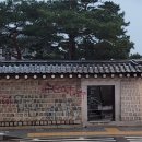 담벼락