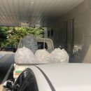 잠실4동주민센터 이미지