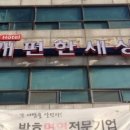 개 편한 세상 이미지