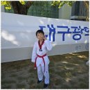 건강한태권도교육관 이미지