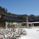 위태목장 이미지