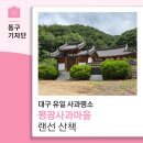 홍성읍 동구마을회관 | 싱그러움이 가득한 대구 유일의 사과 명소 평광사과마을 랜선 산책해요 - 13기 박대홍 기자